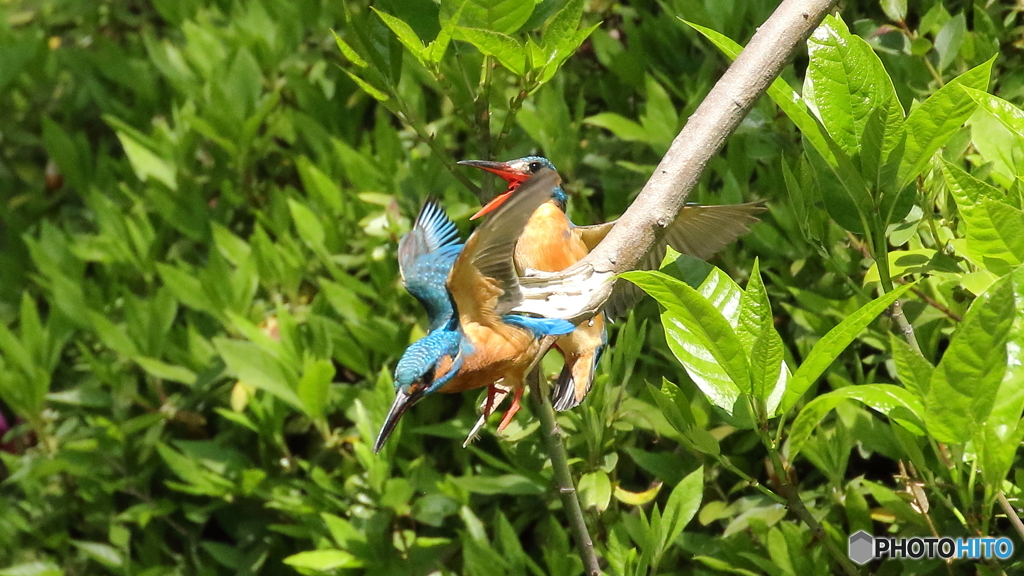 仲良くしましょ３