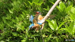 仲良くしましょ３