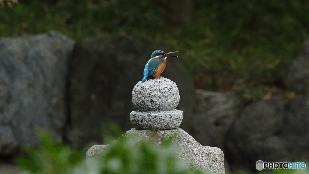 ジャン・ジャン・ジャン