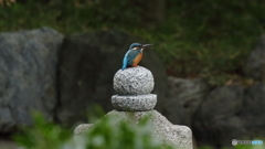 ジャン・ジャン・ジャン