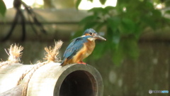 屋根から狙う１