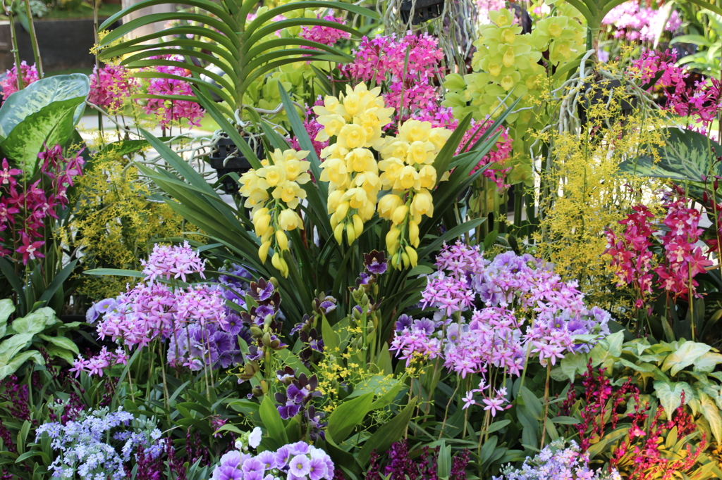 大温室の花たち