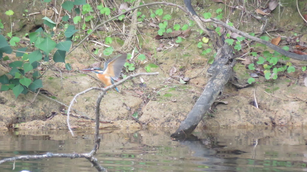 私綺麗　byママ