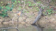 私綺麗　byママ