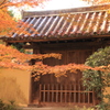 唐招提寺の秋 3