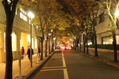 神戸 旧居留地（夜）