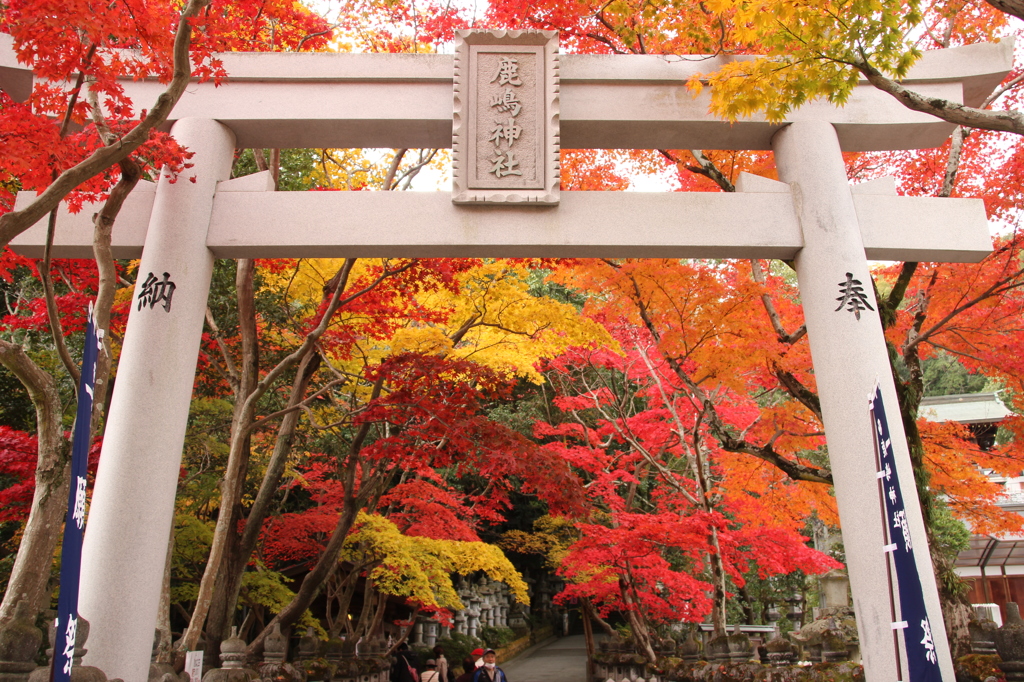 鳥居と紅葉