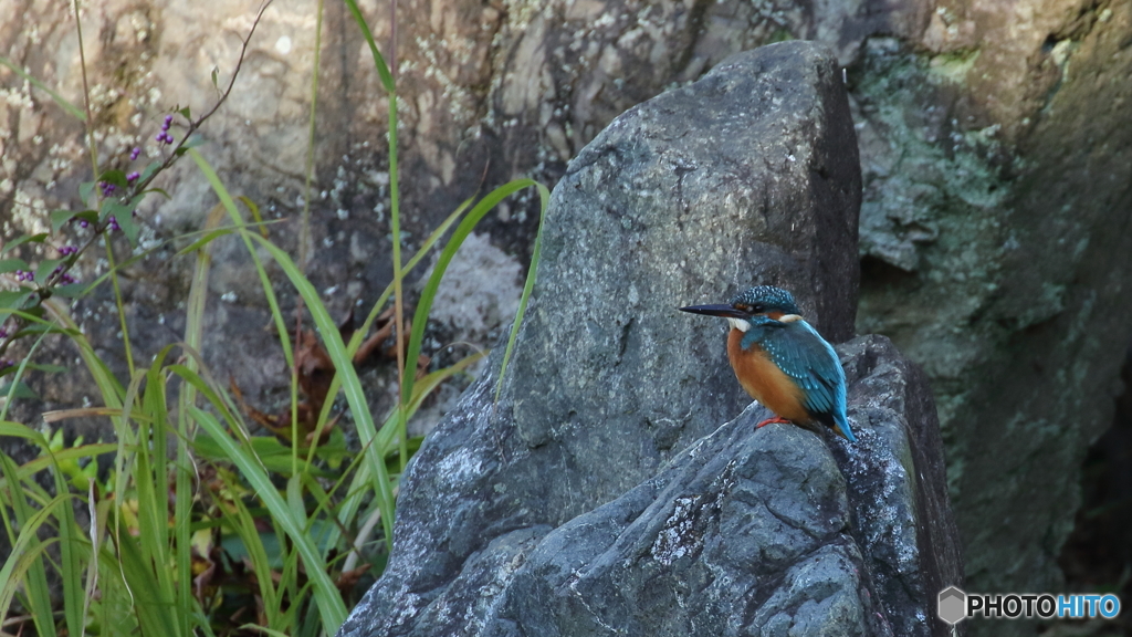 岩の上で一休み１