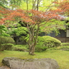 霊宝館庭園