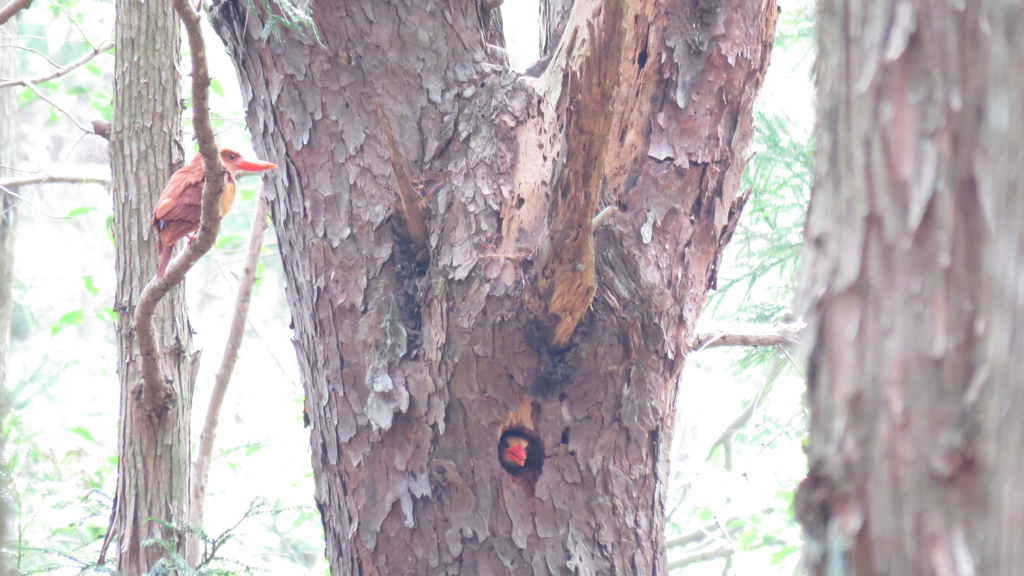 夫婦で力を合わせて