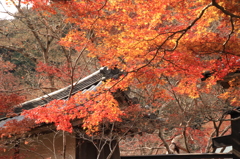 二尊院 1