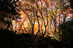 嵐山紅葉１０