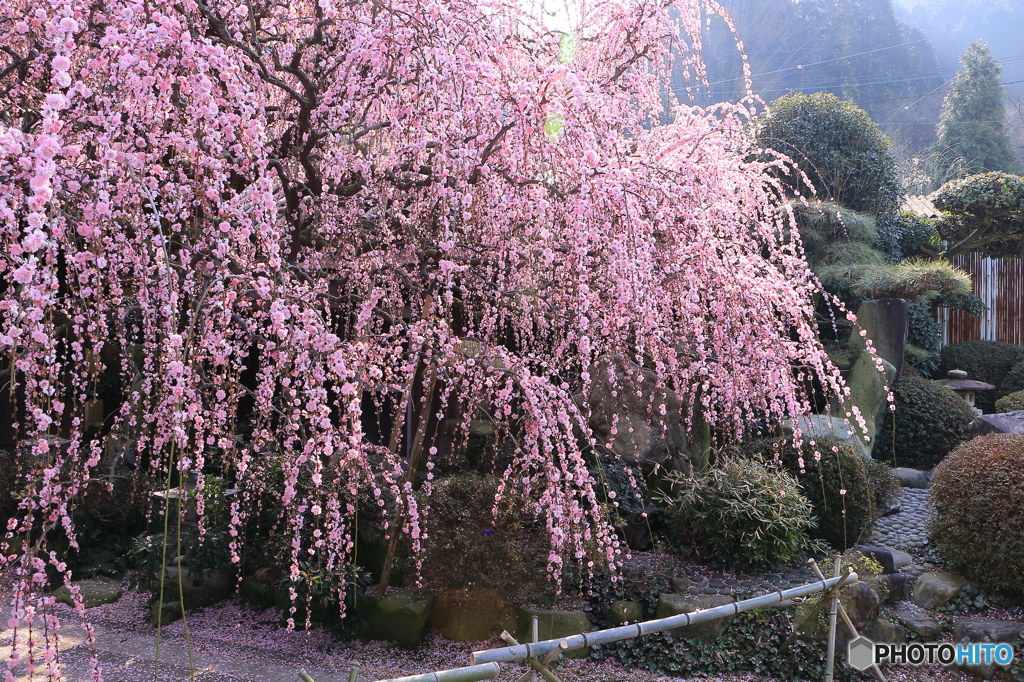軒側から
