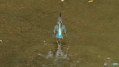 飛び出し５