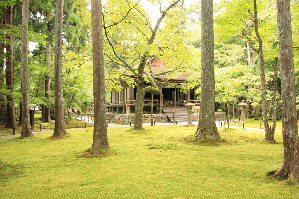 三千院 往生極楽院