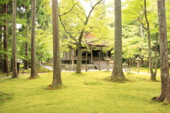三千院 往生極楽院
