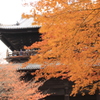 南禅寺　大門