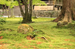 三千院 わらべ地蔵