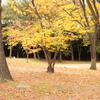 猪名川運動公園(1)