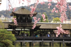 泰平閣をバックに