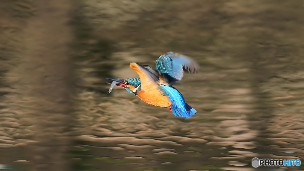 飛び出し１