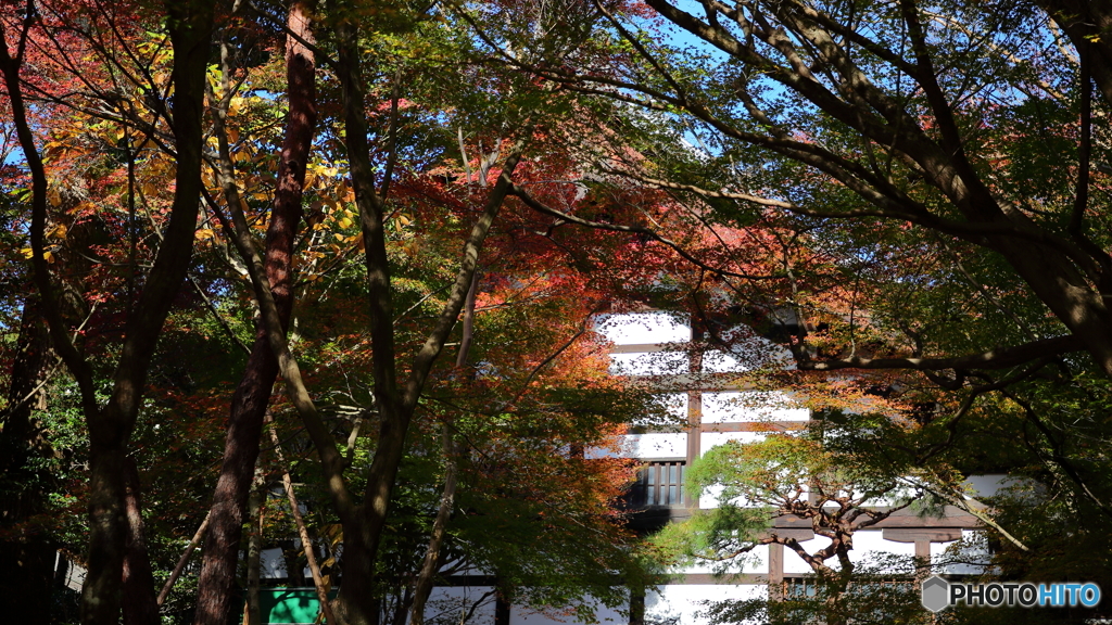 竜安寺１
