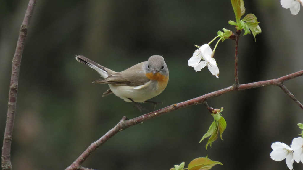 ジャンプで方向転換