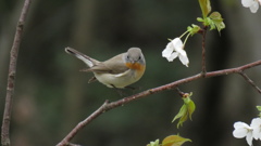 ジャンプで方向転換