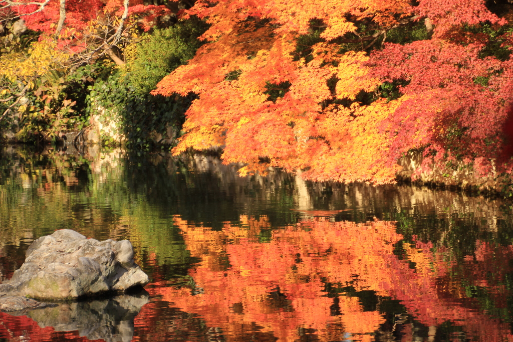 永観堂　禅林寺1