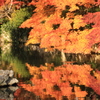 永観堂　禅林寺1