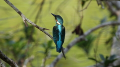 バック姿きれい？