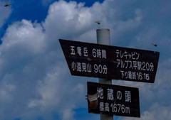 夏の思い出⑥