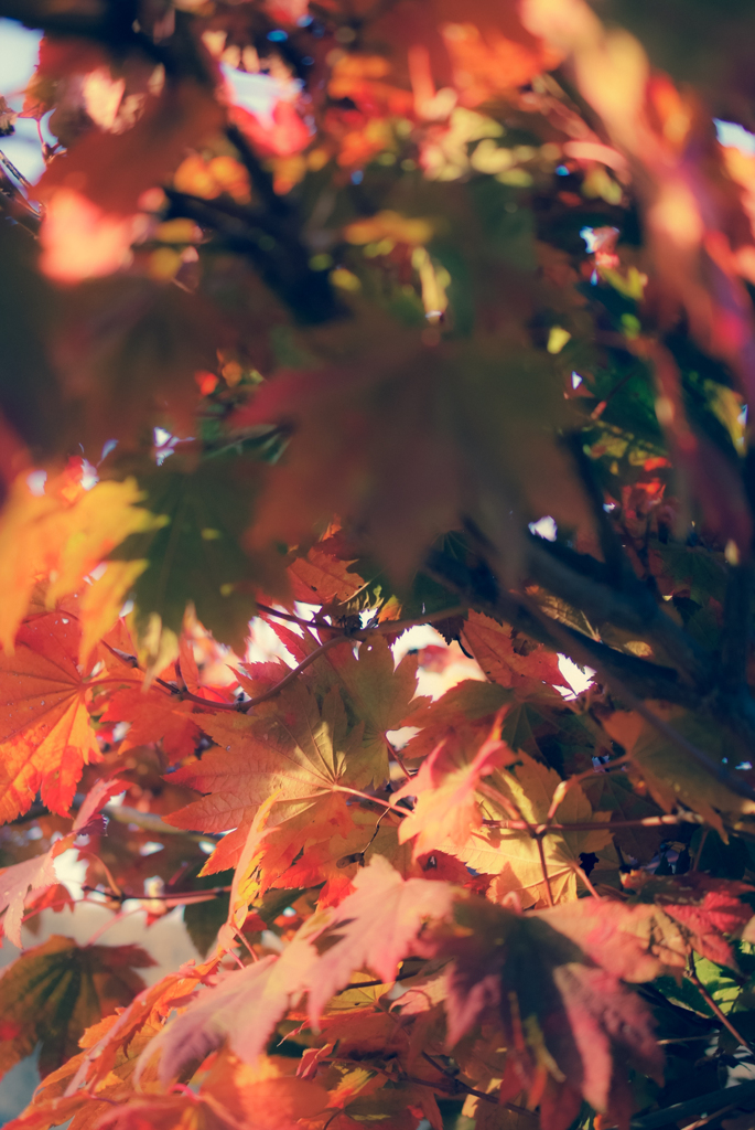 DSCF0836
