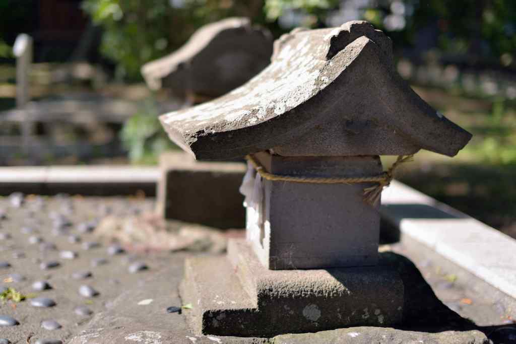 DSC_2995_7
