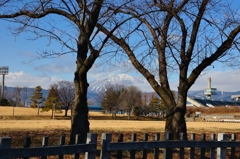 桜の樹の間から見える飯綱山