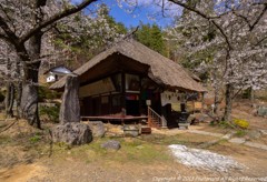 山寺