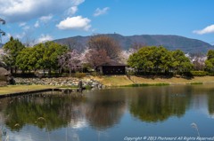 辰巳公園