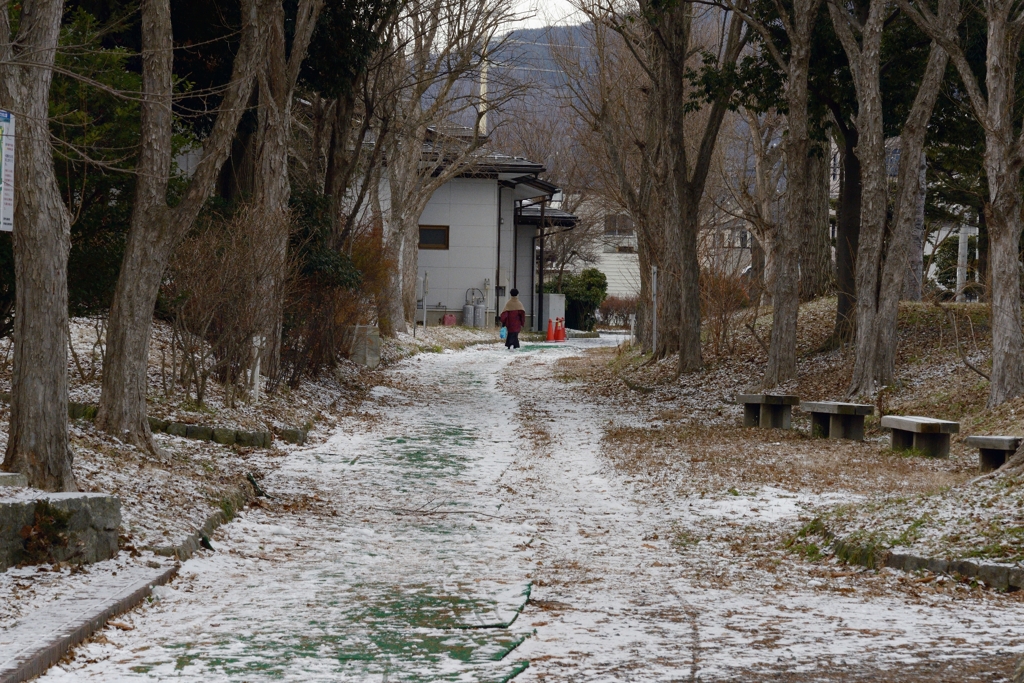 裏の散歩路