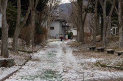 裏の散歩路