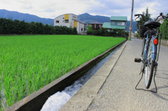 自転車で探す地元の夏