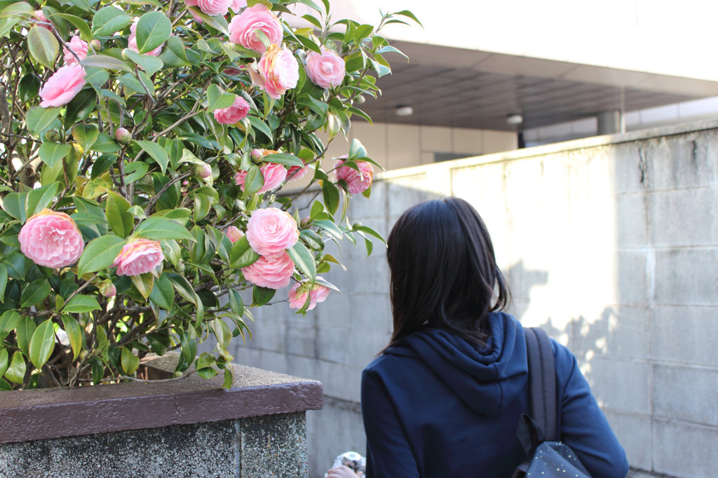 華