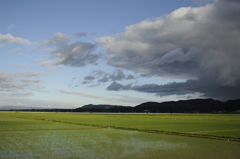 田舎の風景