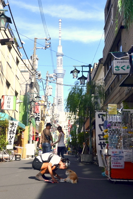 ささやかな愛情