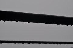 雨