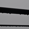 雨