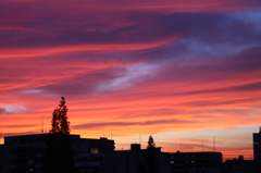 マジックアワー