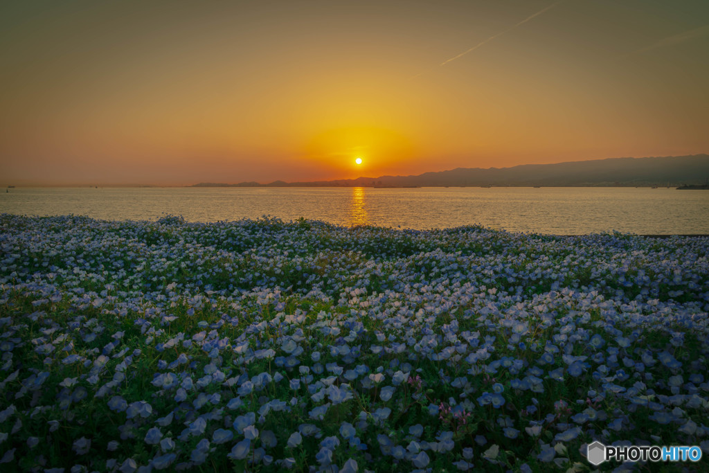 夕暮れ