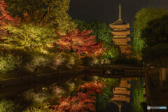 東寺の夜