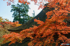 談山神社