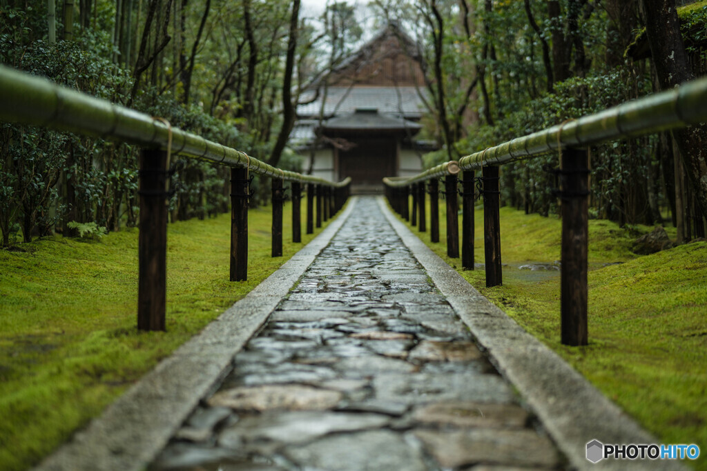 高桐院「雨」